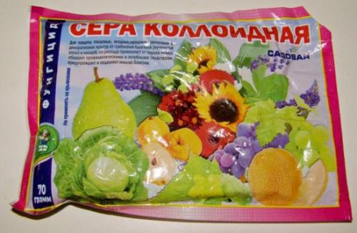 Как обеспечить достаточную защиту клубники от вредителей и болезней на новом месте. Препараты для весенней обработки клубничных плантаций