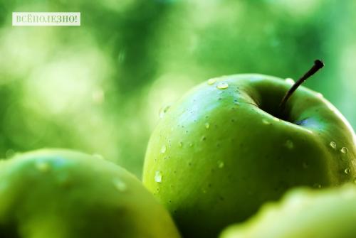 Как отличить спелые яблоки от незрелых