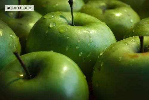 Какие свойства имеют незрелые яблоки. Свойства зеленых яблок