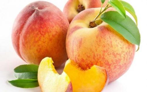 Персики виды и сорта. Сорта персиков – 125 фото основных сортов и советы по их выращиванию своими руками