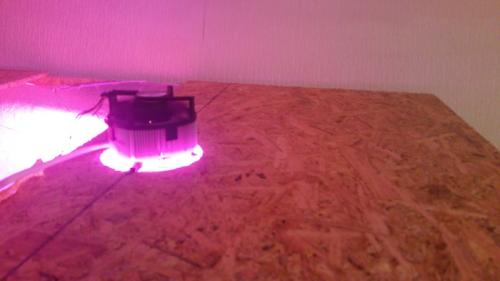 Как обеспечить достаточное освещение для клубники на новом месте. Клубника на гидронике. Расчет ФАР. Фито диоды, самостоятельное изготовление.