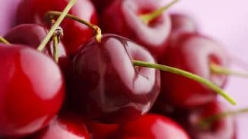 Сорта вишни самоплодные устойчивые к болезням. 16 самоплодных сортов вишен