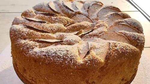 Шарлотка из недозрелых яблок. Пышная шарлотка с яблоками в духовке: 16 простых классических рецептов