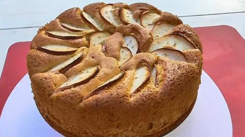 Шарлотка из недозрелых яблок. Пышная шарлотка с яблоками в духовке: 16 простых классических рецептов