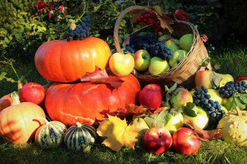 Когда пересаживать клубнику в 2022 году. Когда сажать клубнику по лунному календарю в 2022 году 21 Когда пересаживать клубнику в 2022 году. Когда сажать клубнику по лунному календарю в 2022 году 21