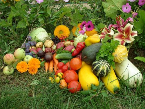 Когда пересаживать клубнику в 2022 году. Когда сажать клубнику по лунному календарю в 2022 году 12 Когда пересаживать клубнику в 2022 году. Когда сажать клубнику по лунному календарю в 2022 году 12