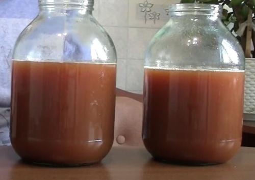 Закваска для вина из яблок. Вино из яблок в домашних условиях — простые пошаговые рецепты