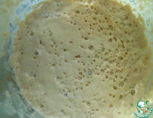 Закваска из изюма для хлеба. Пшеничная закваска на изюме