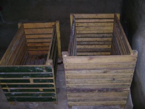 От косточки до плода: путеводитель по выращиванию персика и манго дома 06