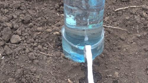 Капельный полив из бутылки - равномерный полив 30 дней. Отличный способ сделать простой капельный полив на 30 дней