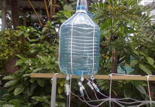 Капельный полив из бутылок для огурцов. Как сделать систему орошения из пятилитровой пластиковой емкости своими руками?