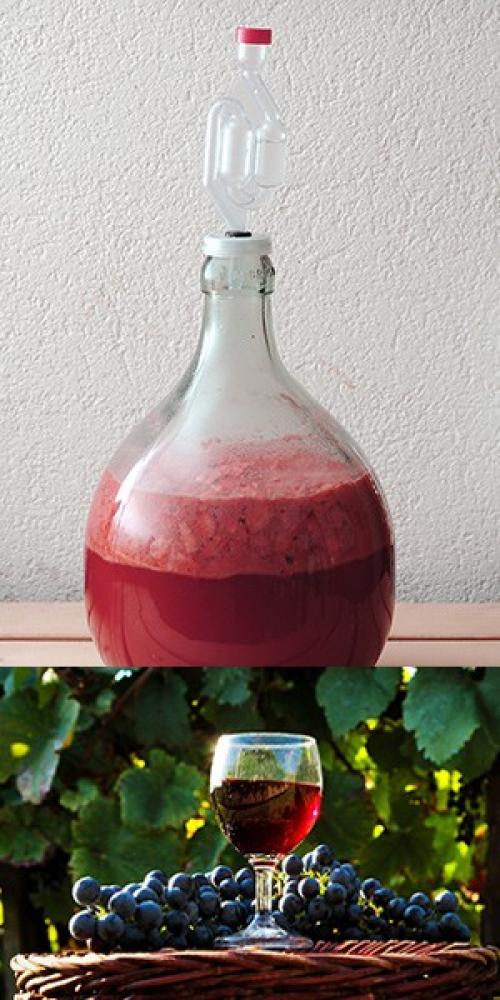 Закваска для вина из малины. Как сделать винные дрожжи в домашних условиях