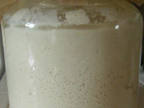 Закваска из изюма для хлеба. Натуральная закваска для хлеба