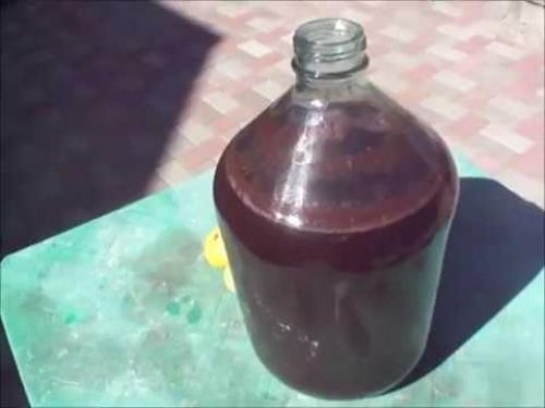 Виноградное вино в домашних условиях. Как приготовить домашнее вино из винограда 09