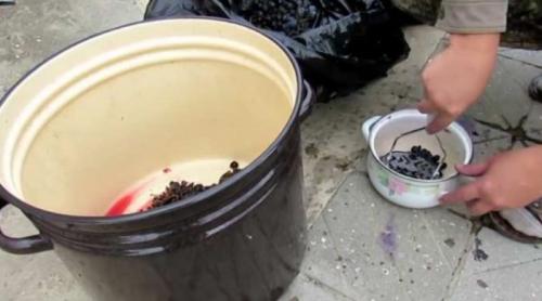 Виноградное вино в домашних условиях с добавлением воды. Вино из винограда в домашних условиях – простой рецепт