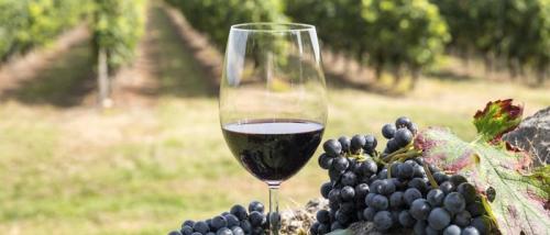 Вино из изюма в домашних условиях. Вино из изюма – 6 рецептов