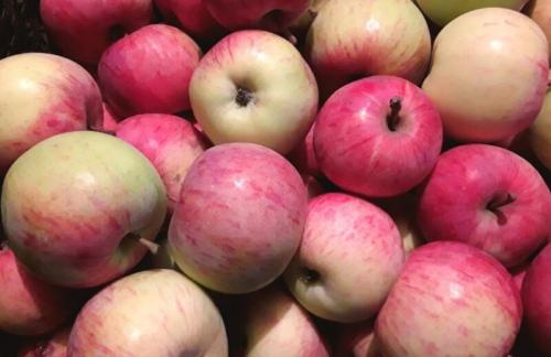 Закваска для вина из яблок. Вино из яблок в домашних условиях — простые пошаговые рецепты