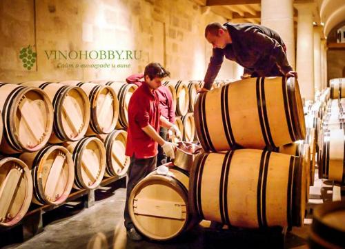 Как приготовить закваску для виноградного вина. Закваска для вина