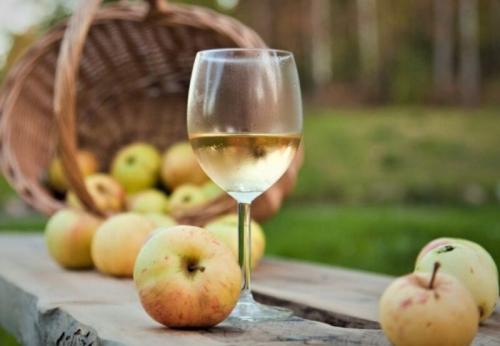 Закваска для вина из яблок. Вино из яблок в домашних условиях — простые пошаговые рецепты
