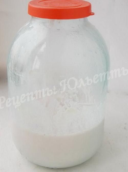 Закваска из винограда для хлеба. Виноградная закваска для хлеба