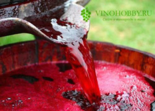 Закваска для вина из малины. Традиционный способ