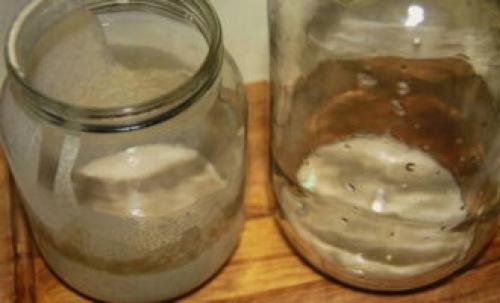 Как приготовить закваску для хлеба. Закваска для хлеба – 10 рецептов в домашних условиях