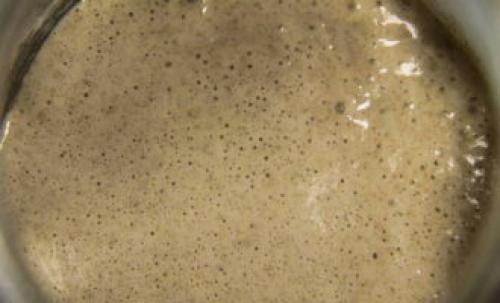 Как приготовить закваску для хлеба. Закваска для хлеба – 10 рецептов в домашних условиях