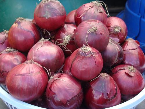 Сравниваем белый и красный лук. Чем отличаются красный и белый лук 10