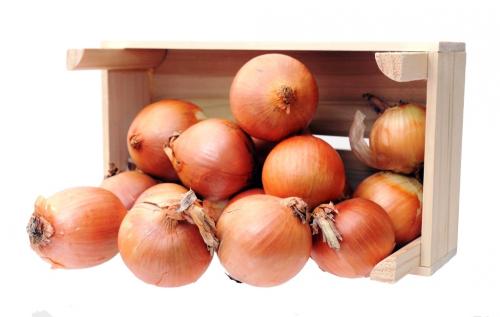 Сравниваем белый и красный лук. Чем отличаются красный и белый лук 14