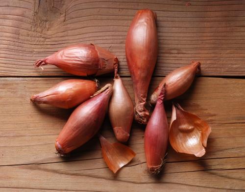 Сравниваем белый и красный лук. Чем отличаются красный и белый лук 12