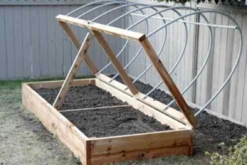 Лук Севок салатный белый. Лучшие сорта белого лука 01