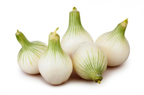 Сравниваем белый и красный лук. Чем отличаются красный и белый лук 05