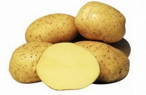 Сорта картофеля уральской селекции. Новые сорта картофеля для урала