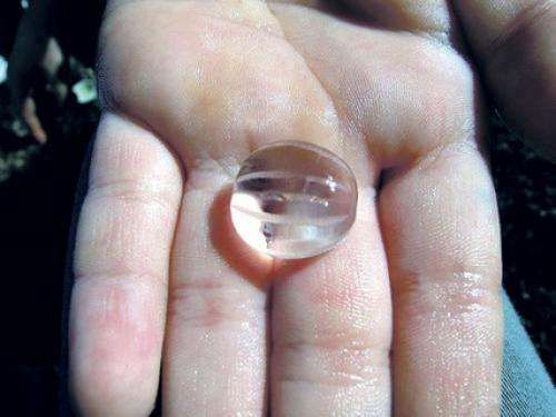 Какой вред способен нанести крыжовник. Крыжовник — полезные свойства и противопоказания 01