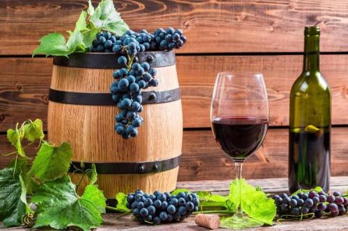 Сорт винограда для вина. Лучшие сорта винограда для вина: фото, названия и описания (каталог)