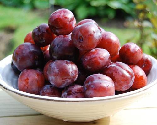 Как сушить сливу в сиропе. Как сушить сливу в домашних условиях? 5 способов