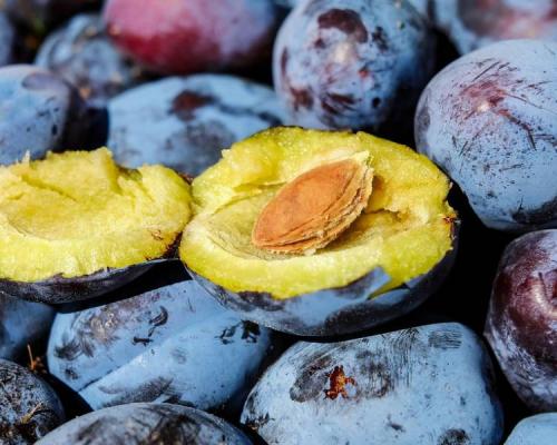 Как сушить сливу в сиропе. Как сушить сливу в домашних условиях? 5 способов