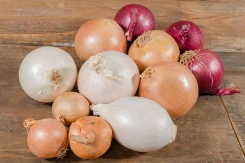 Сорта лука для зимнего хранения. Озимые сорта лука: описание, характеристики, преимущества и недостатки