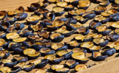 Как сушить сливу на зиму. Как сушить сливу в домашних условиях? 5 способов