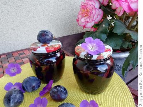 Как сушить сливу в сиропе. Вяленые сливы в сиропе - это не варенье, а настоящее лакомство для истинных гурманов