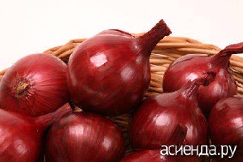 Сладкие сорта лука. Лучшие сладкие сорта лука