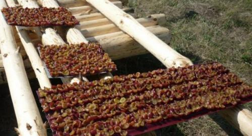 Как сушить сливу на солнце. Как сушить чернослив в домашних условиях: сушим сливы на солнце, в духовке и электросушилке