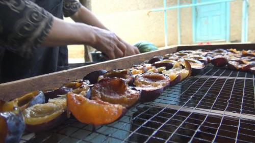 Как сушить сливу на зиму. Как сушить сливу в домашних условиях? 5 способов 15 Как сушить сливу на зиму. Как сушить сливу в домашних условиях? 5 способов 15