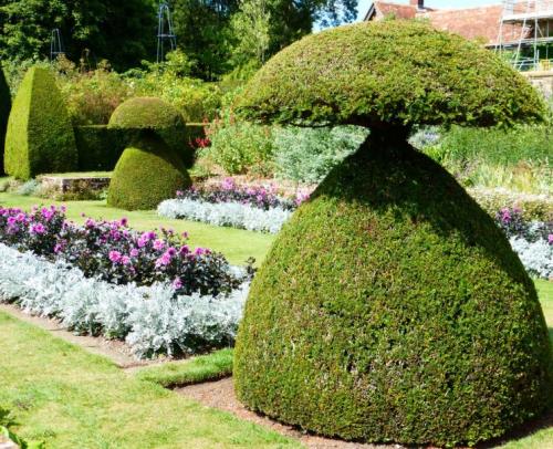 Как использовать садовые инструменты для правильного формирования куста. Стрижка кустов — основы правильного выбора растений и формирования правильных форм, подбор инструмента (фото + видео)