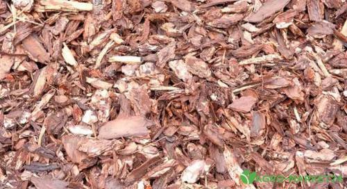 Полезные советы по обрезке смородины летом после сбора урожая 02 Полезные советы по обрезке смородины летом после сбора урожая 02