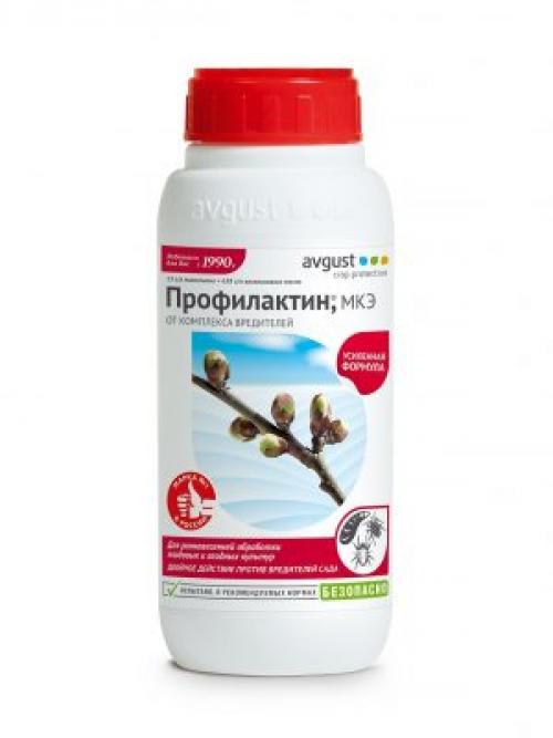 Как отличить куст смородины от крыжовника. С первых тёплых деньков