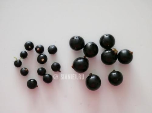 Обрезка смородины после сбора урожая: полное руководство 11 Обрезка смородины после сбора урожая: полное руководство 11