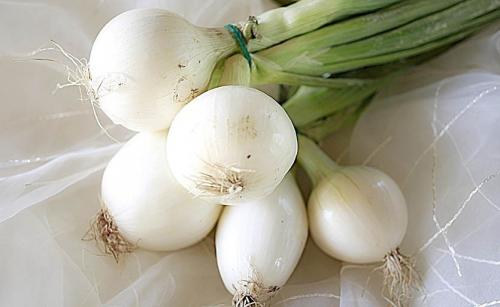 Белый лук севок. Белый лук. Сладкий, ароматный и без слёз