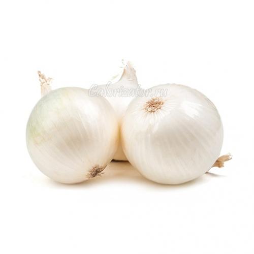 Белый лук для жарки. Лук белый