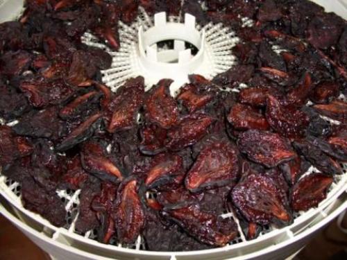 Как сушить сливы в домашних условиях. Как сушить сливу